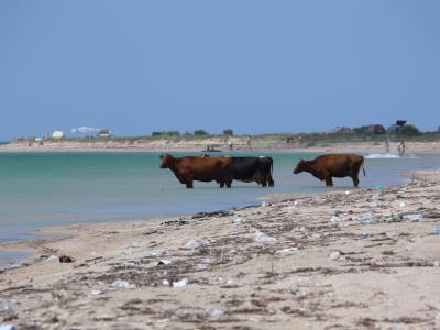 Прикрепленное изображение: 111.jpg